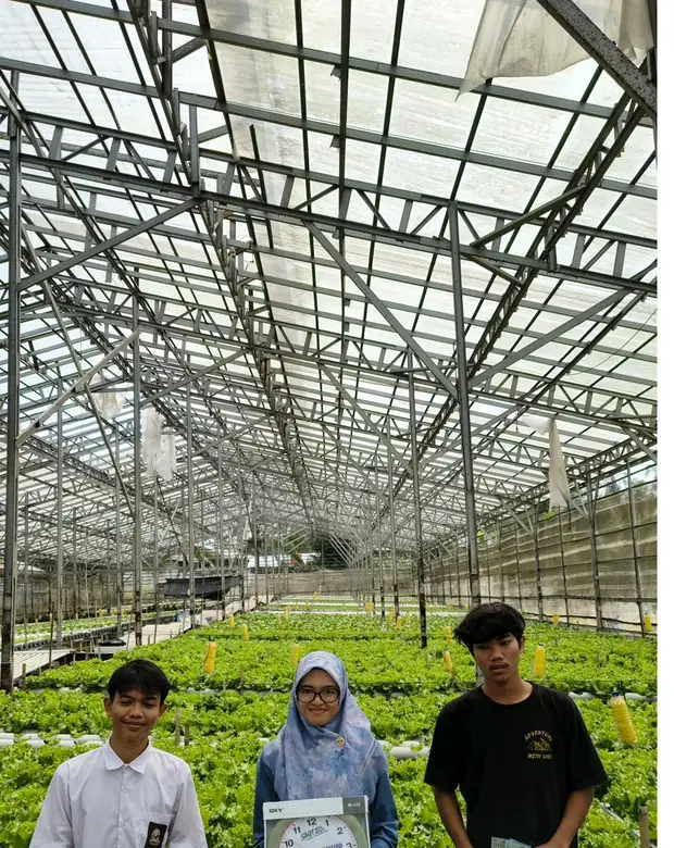 Rangka baja greenhouse membentang di atas instalasi hidroponik